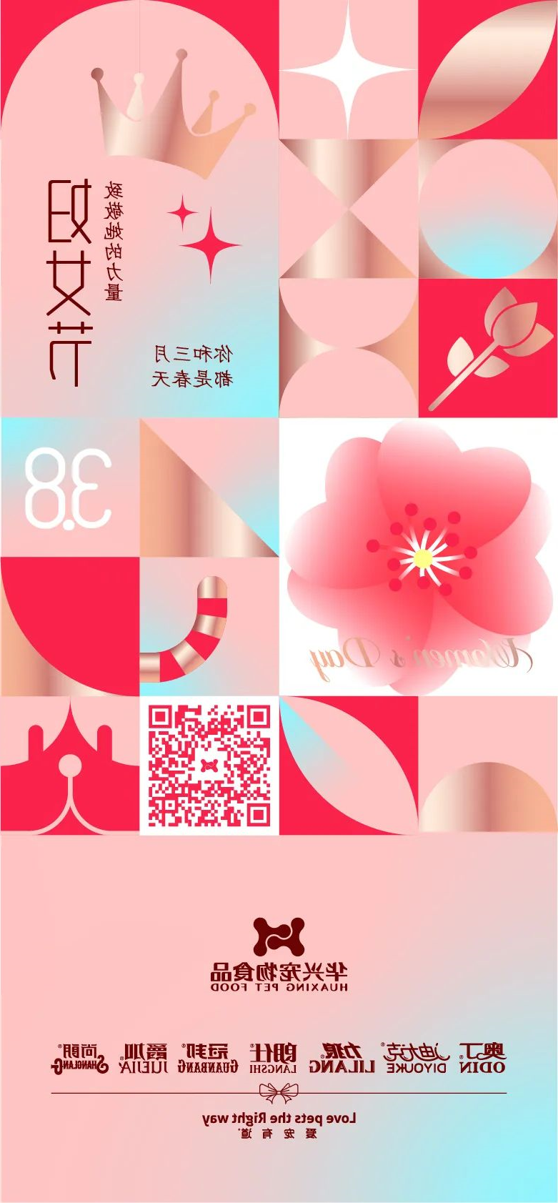 华兴宠物