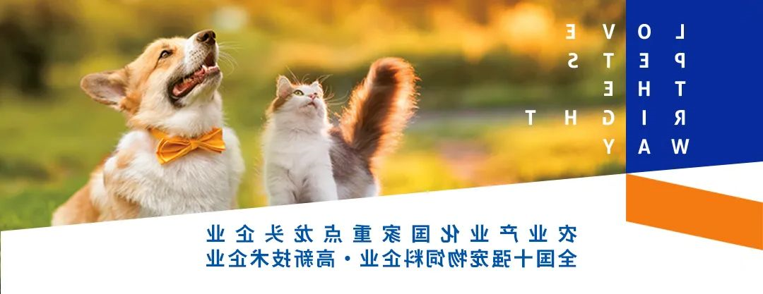 华兴宠物